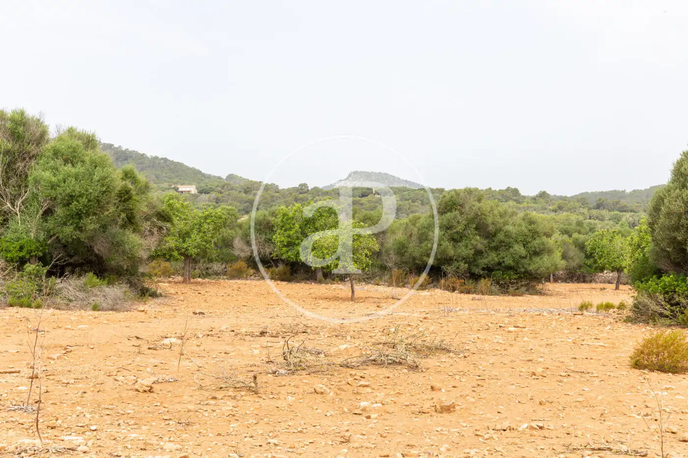 Terreno residenziale in vendita a Cami de.'s Presos, imagen 22