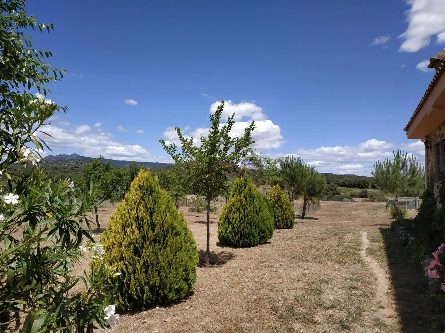 Finca rústica en venta en de Paredes a Cenicientos , Paredes de Escalona