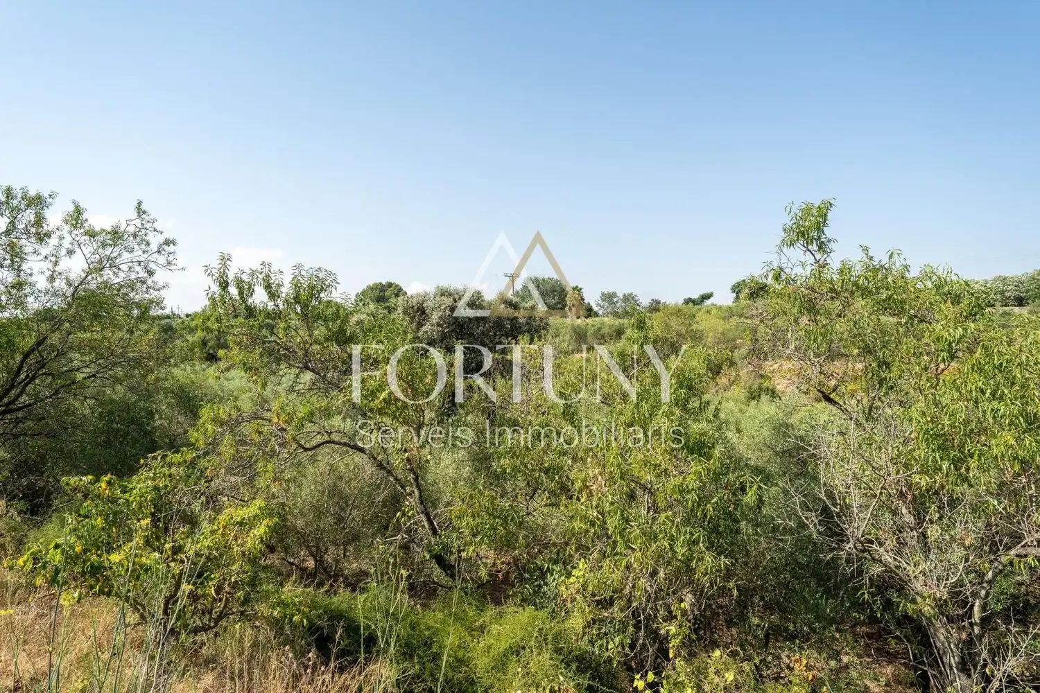 House with pool for sale in del Freixe, imagen 35