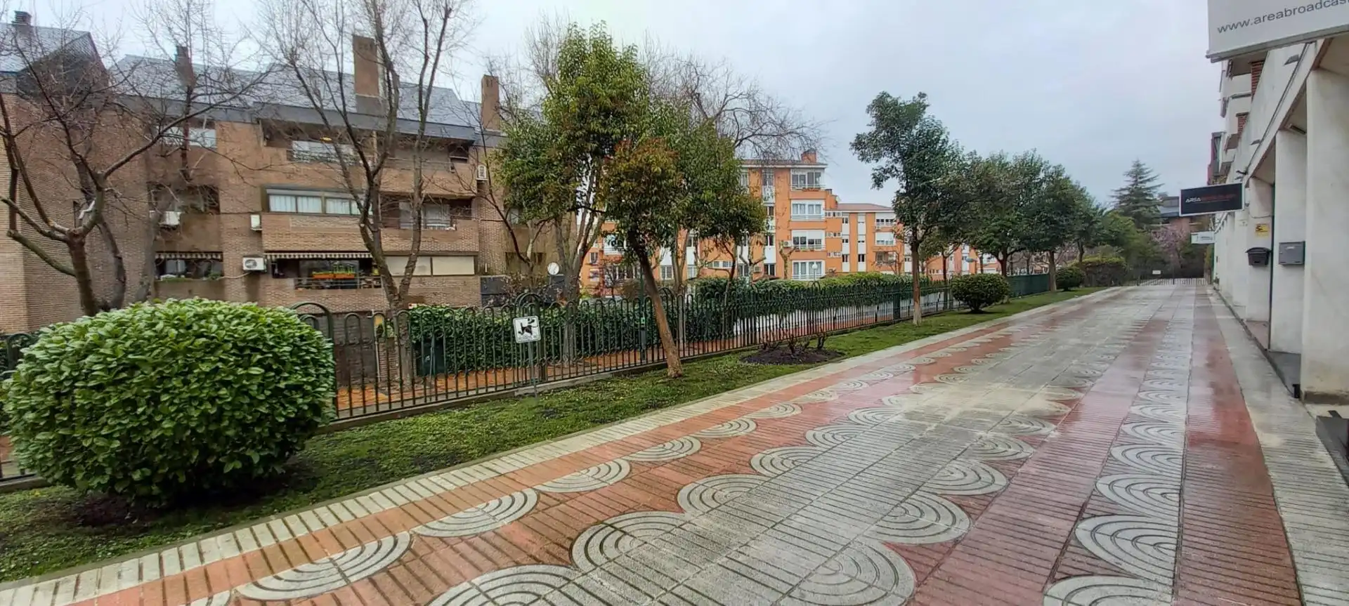 Local de alquiler en Carretera Vía de las Dos Castillas, Avenida Europa