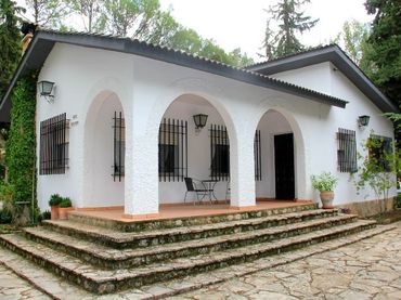 Chalet con piscina en venta en Partidas Norte