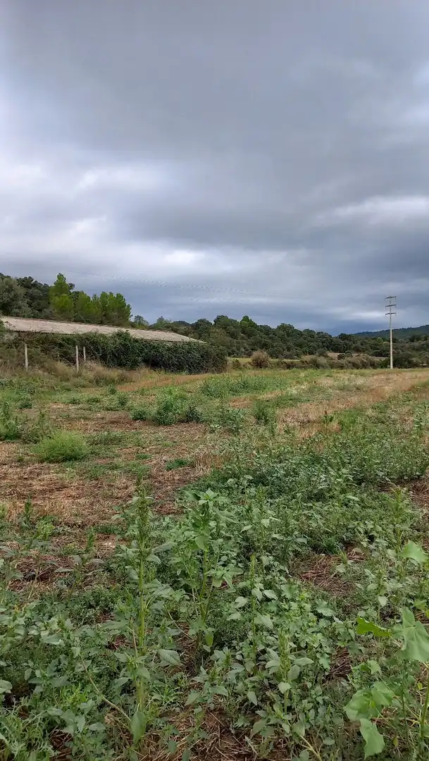 Residential for sale in El Grado