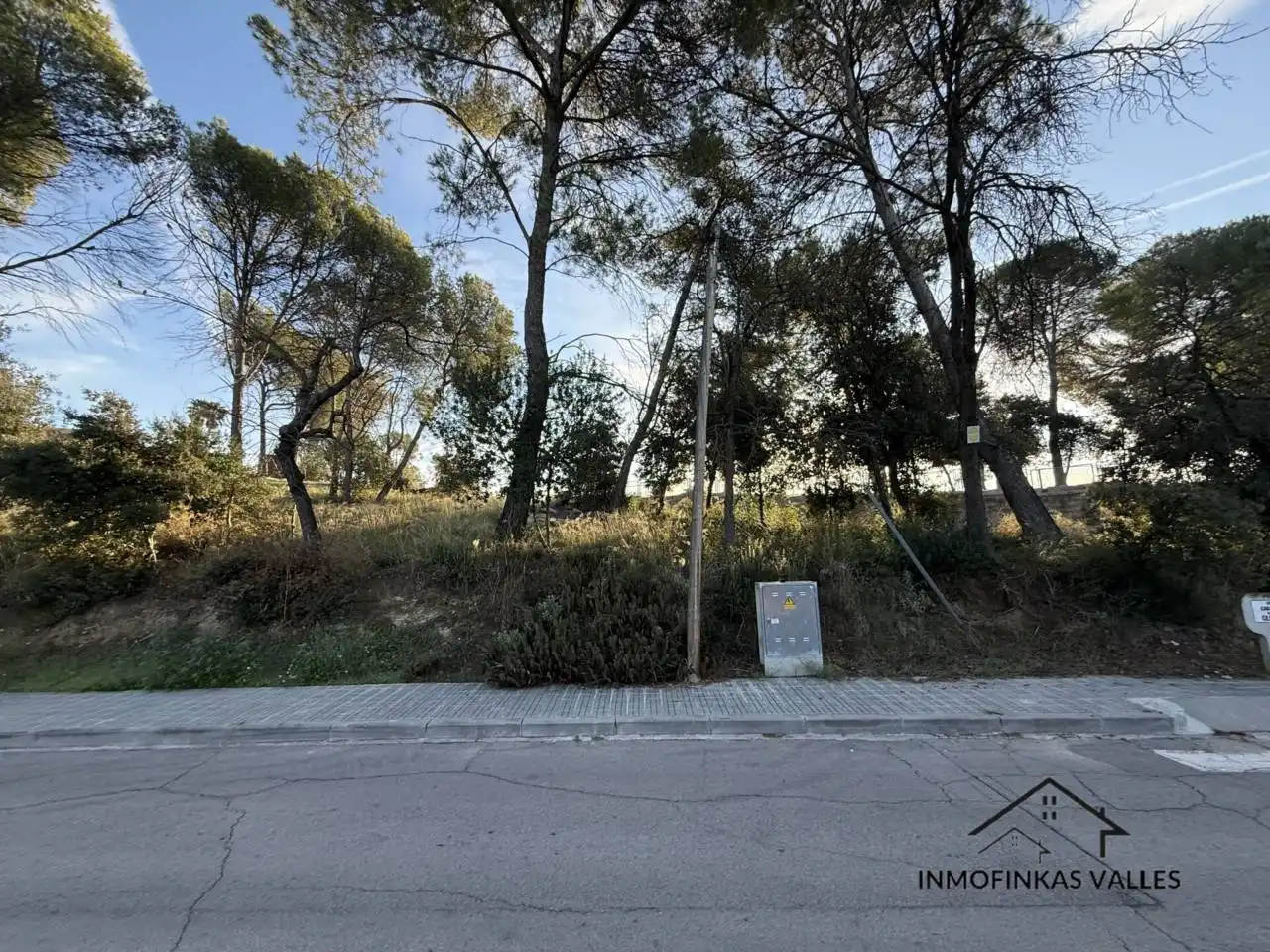 Terreno rústico en venta en Calle Cedro 4, imagen 10