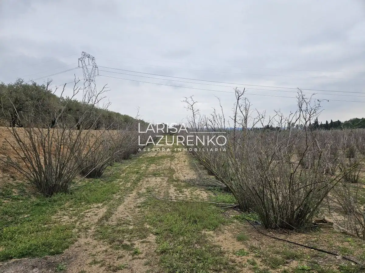 Finca rústica en venda en Riudoms
