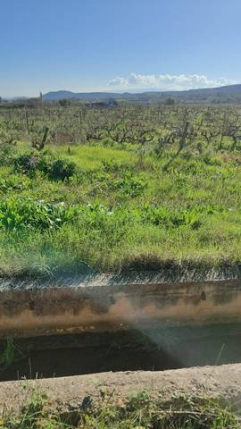 Terreno en Venta en Agoncillo