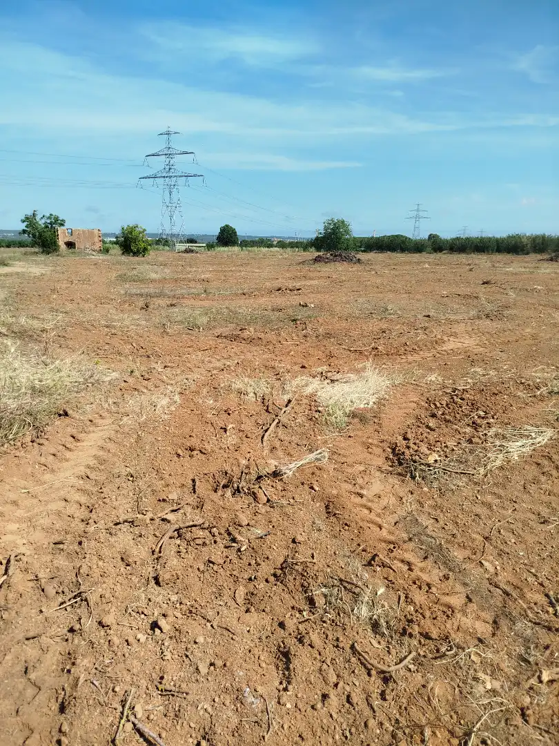 Land for sale in Vilallonga del Camp