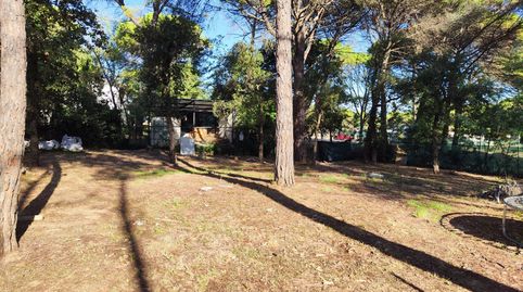 PARCELLA  A LA VENTA A LA CANYERA, immagine 2