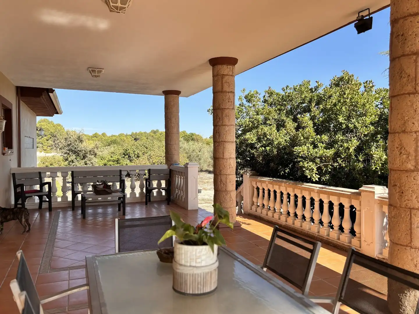 Casa con piscina en venta en El Pilar, imagen 10