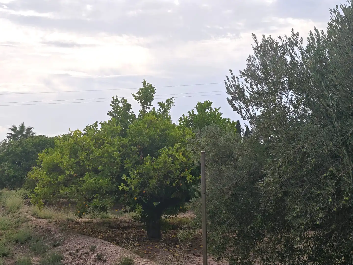 Terreno residencial en venta en Totana, imagen 9