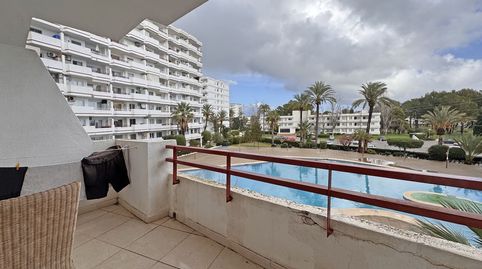 Estudio encantador con vistas a la montaña en Puerto de Alcudia!, imatge 2