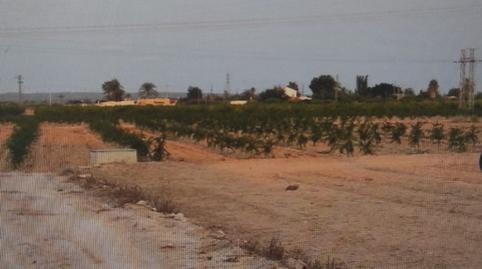 Foto 5 von Residential zum Verkauf in Alzabares, Elche / Elx