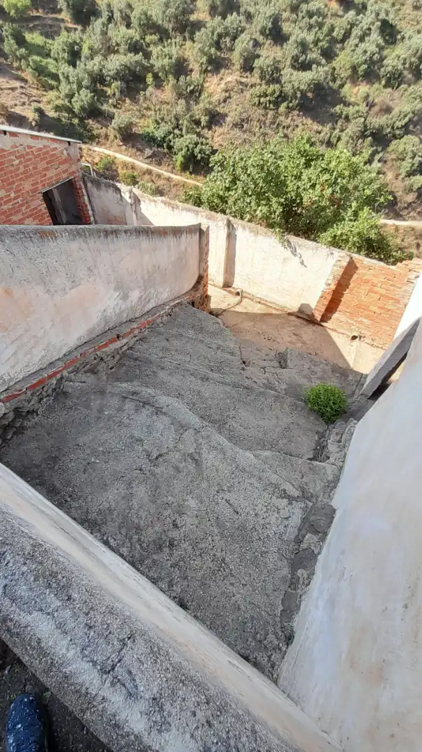 Jardí de Nau industrial de lloguer en Sayalonga