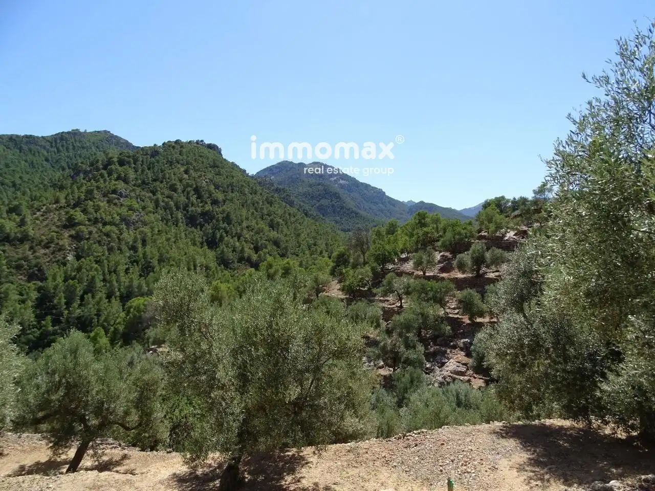 Villa à vendre à Paüls, imagen 3