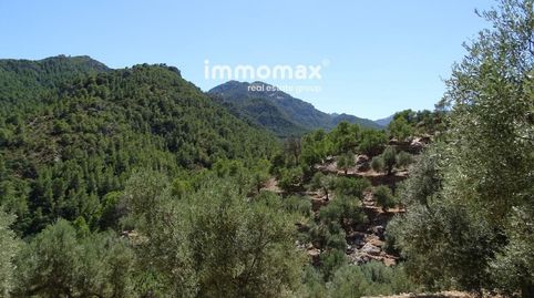 Finca rústica con caseta de 66 m2 y 18302 m² de terreno. Hay muy buen acceso hasta la finca a unos 7 minutos de Paüls y 7 minutos , imatge 3