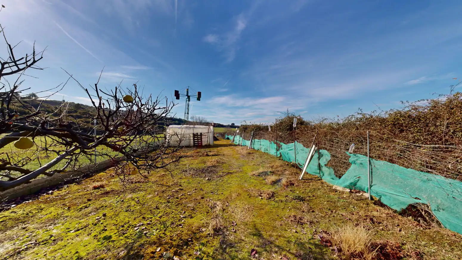Rural land for sale in Tafalla - TERMINO JUNCAL, imagen 9