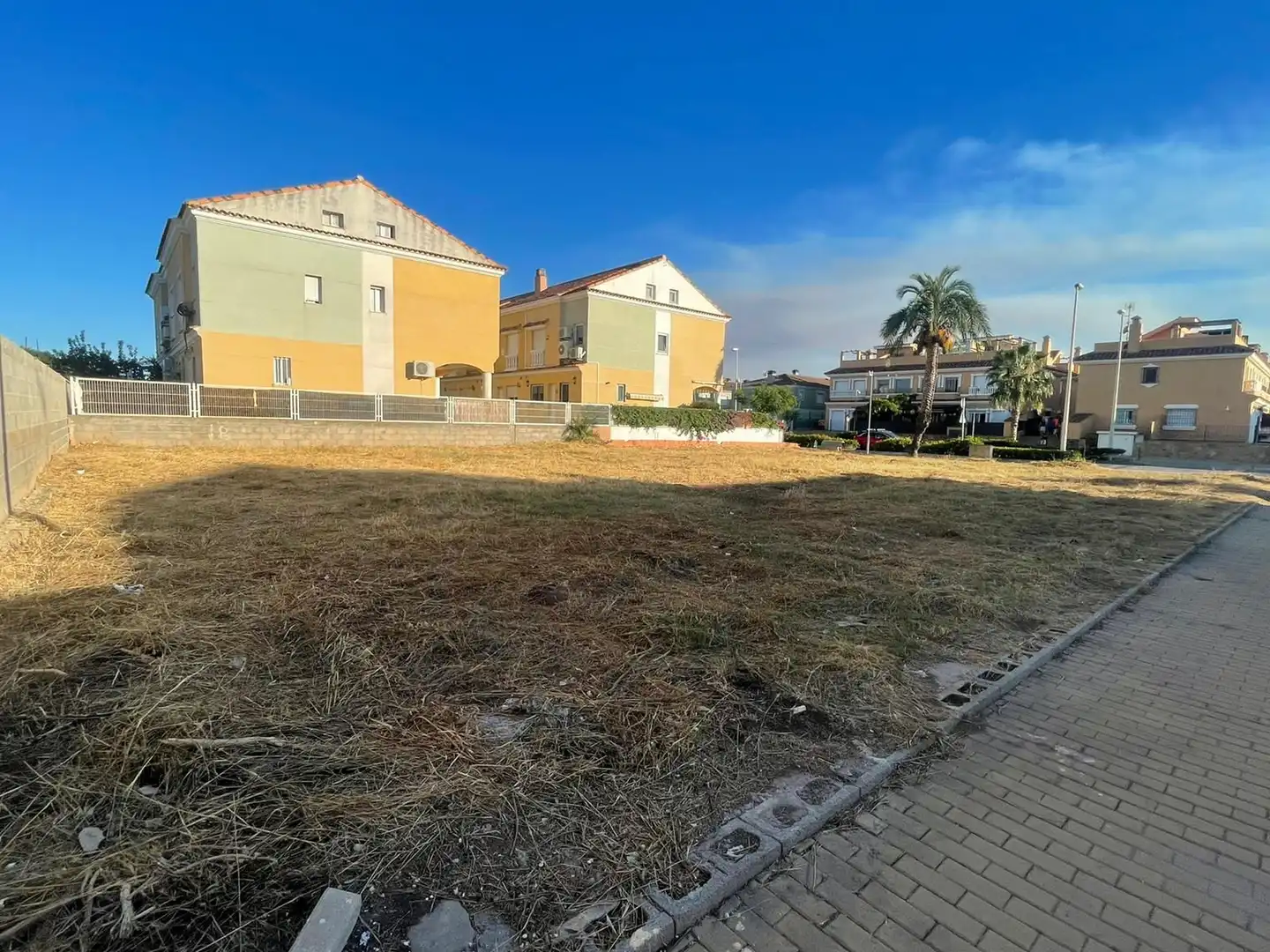 Terrain résidentiel à vendre à Avenida Cientific Avel·Li Corma, imagen 3