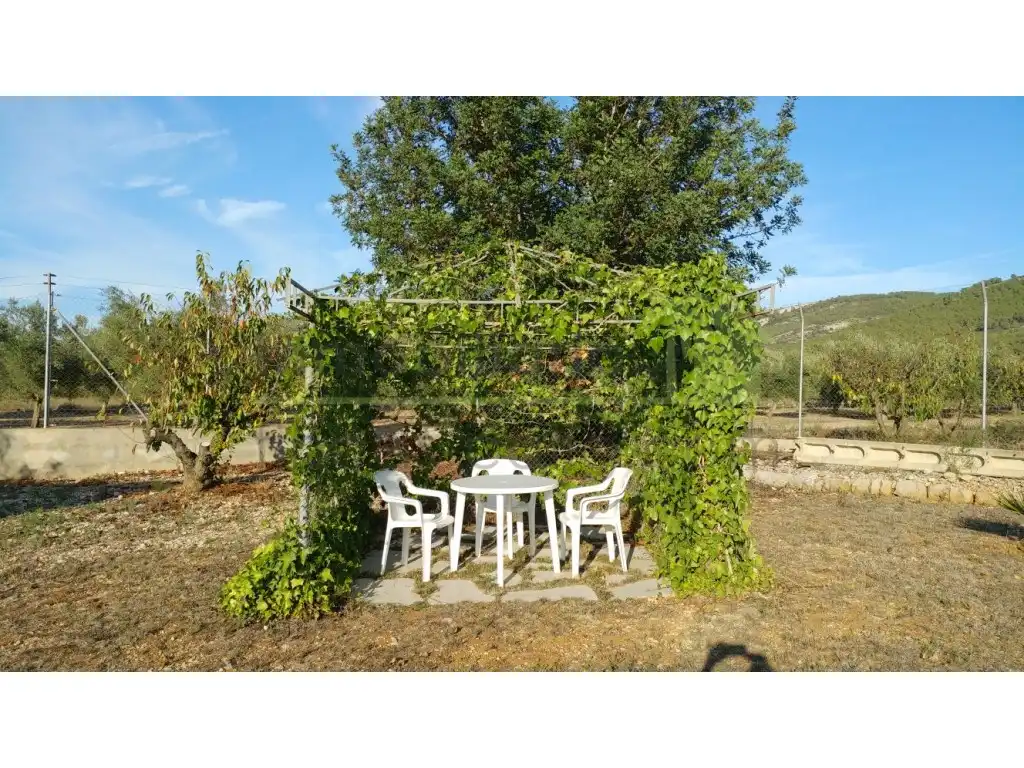 Jardín de Casa o chalet en venta en Sant Mateu