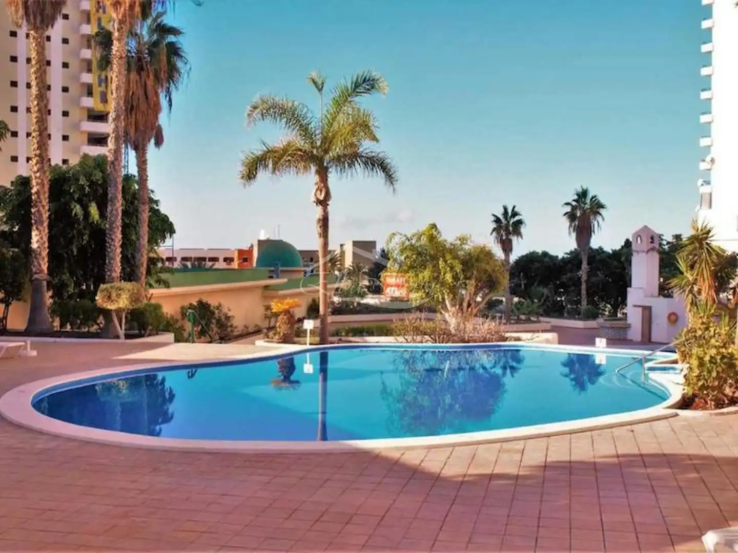 Swimming pool of Flat for sale in Adeje  with Terrace, Swimming Pool and Furnished