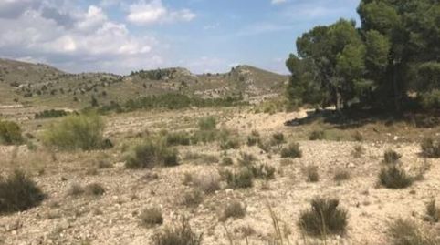 Terreno en Cieza Murcia, immagine 5