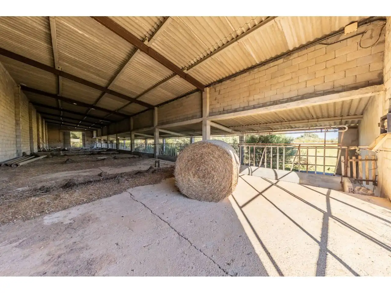 Terreno rustico in vendita a Llucmajor pueblo, imagen 57