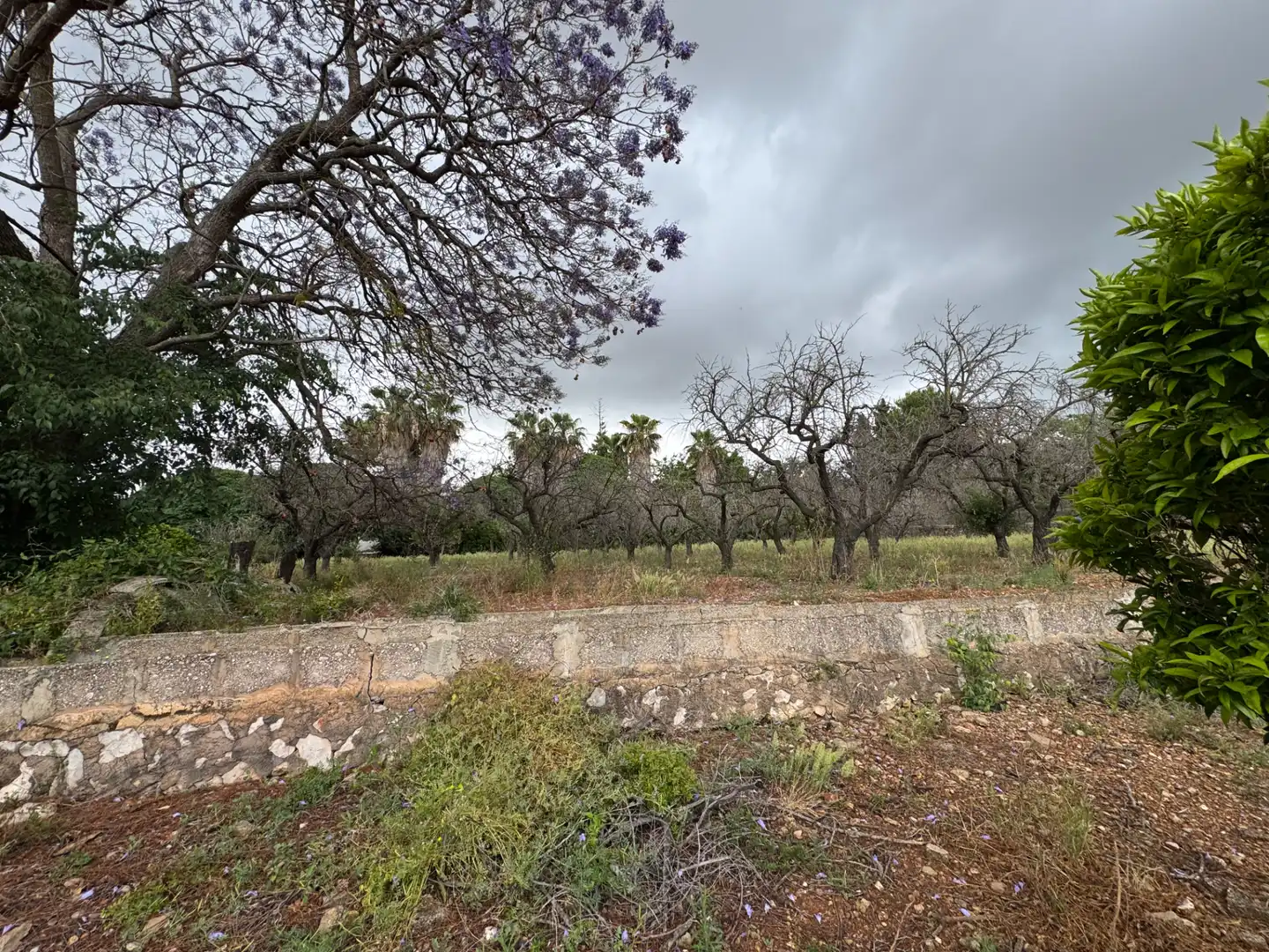 Casa o chalet en venta en Carretera Pedreguer-Benidoleig, Pedreguer