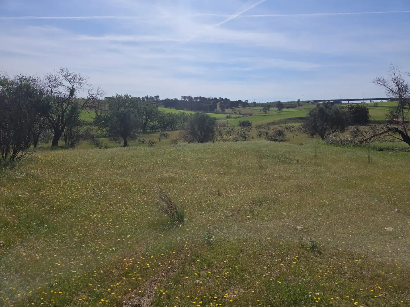 Finca rústica en venta en Navalcarnero