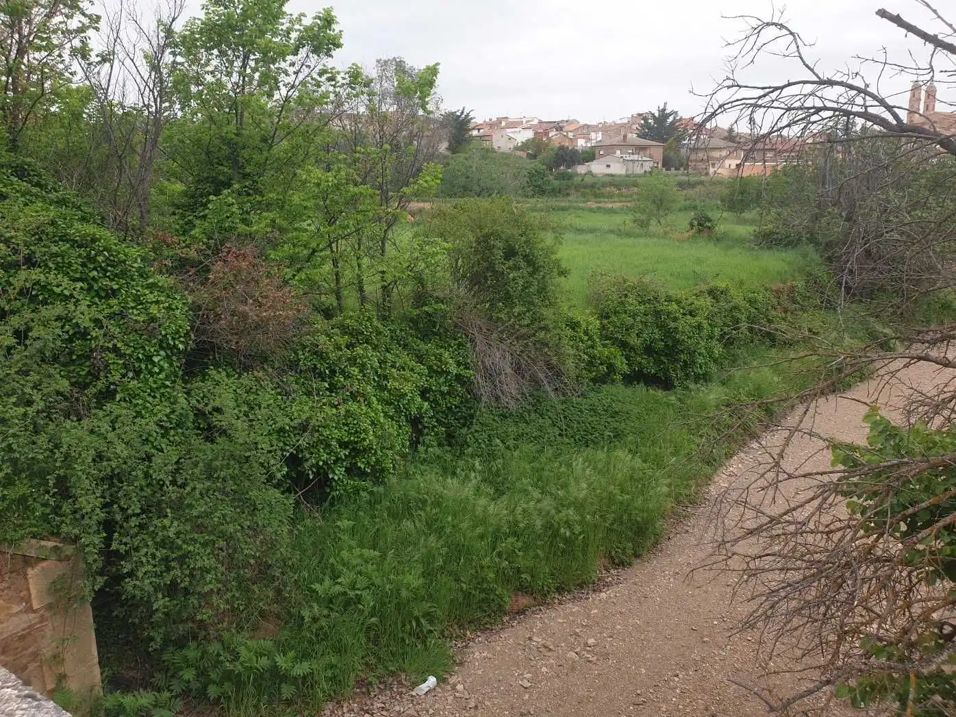 Terreno en venta en Munébrega
