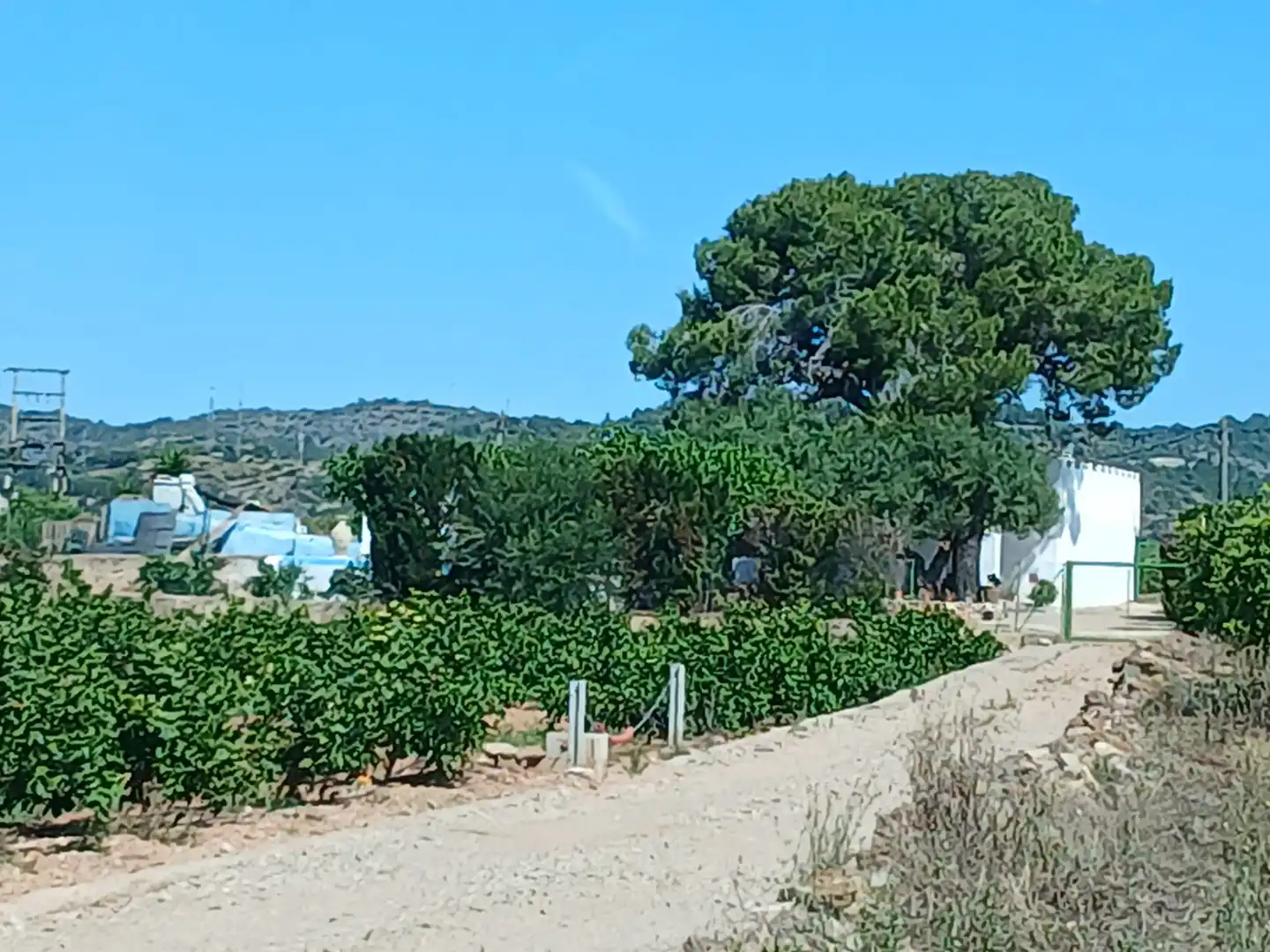 Finca rústica de alquiler en Alcanar con Jardín privado, Terraza y Piscina