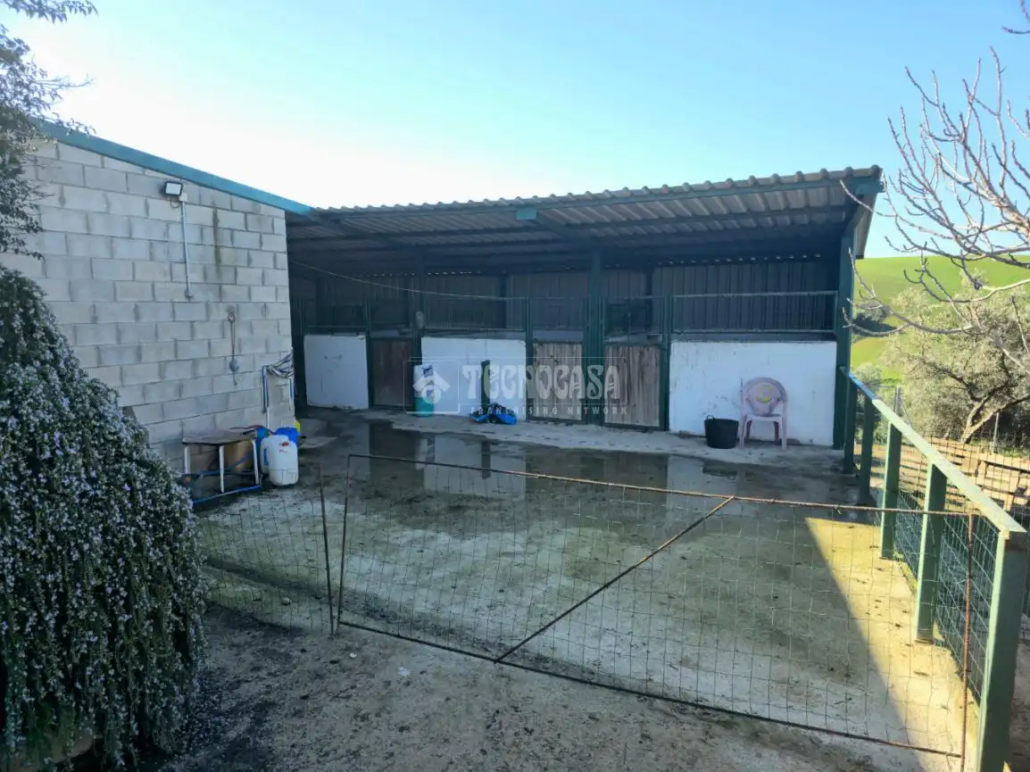 Terreno rustico in vendita a El Coronil, imagen 6