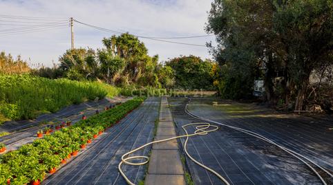 Photo 3 of Land for sale in Carrer del Torrent Dels Bassals, Viiassar de Mar, , -1, Zona Industrial i Agrícola, Vilassar de Mar