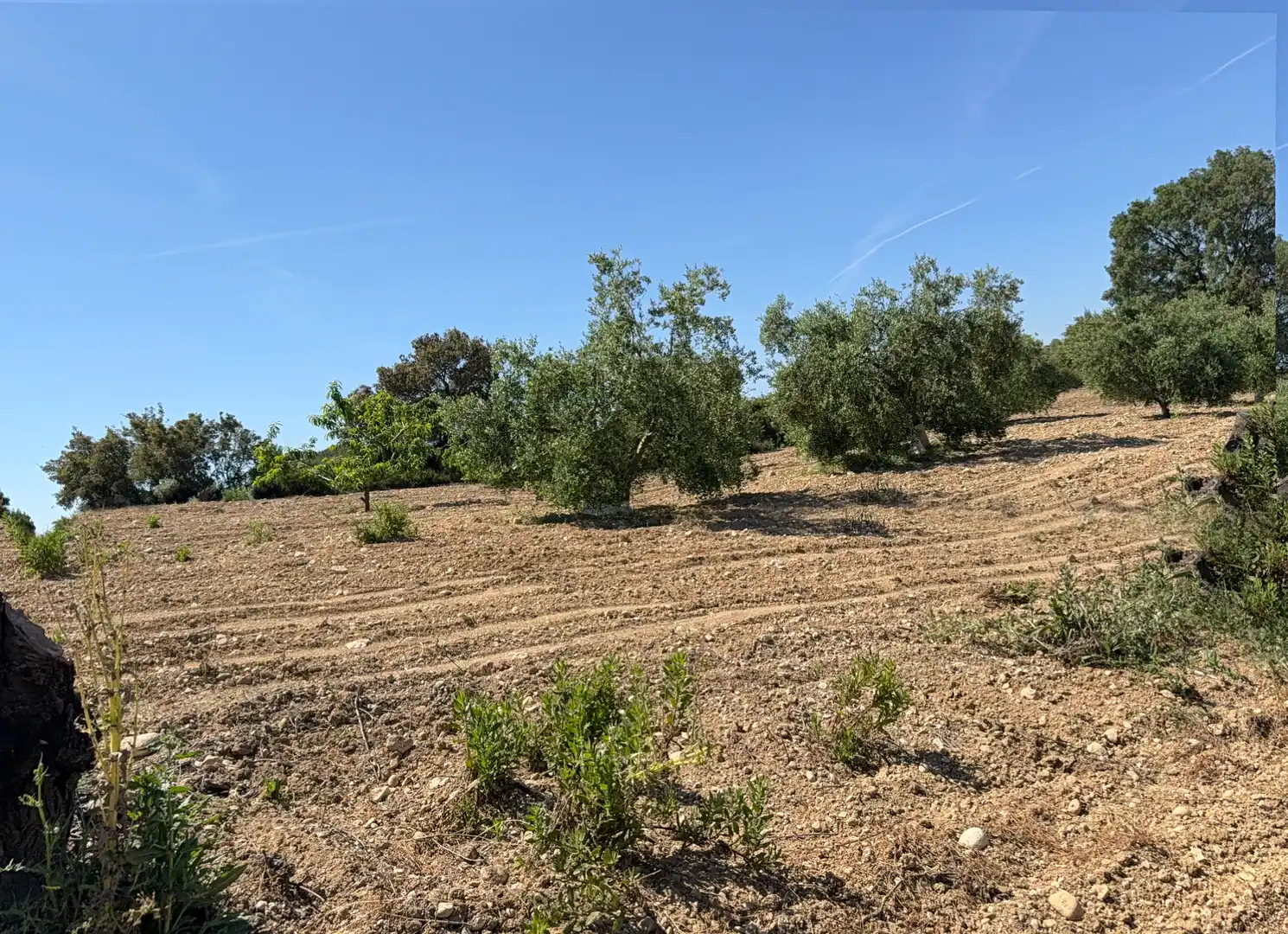 Rustikales Grundstück zum Verkauf in Camí del Cementiri 97, imagen 5