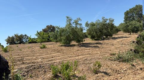 Photo 5 of Land for sale in Camí del Cementiri, 97, L'Arboç, Tarragona