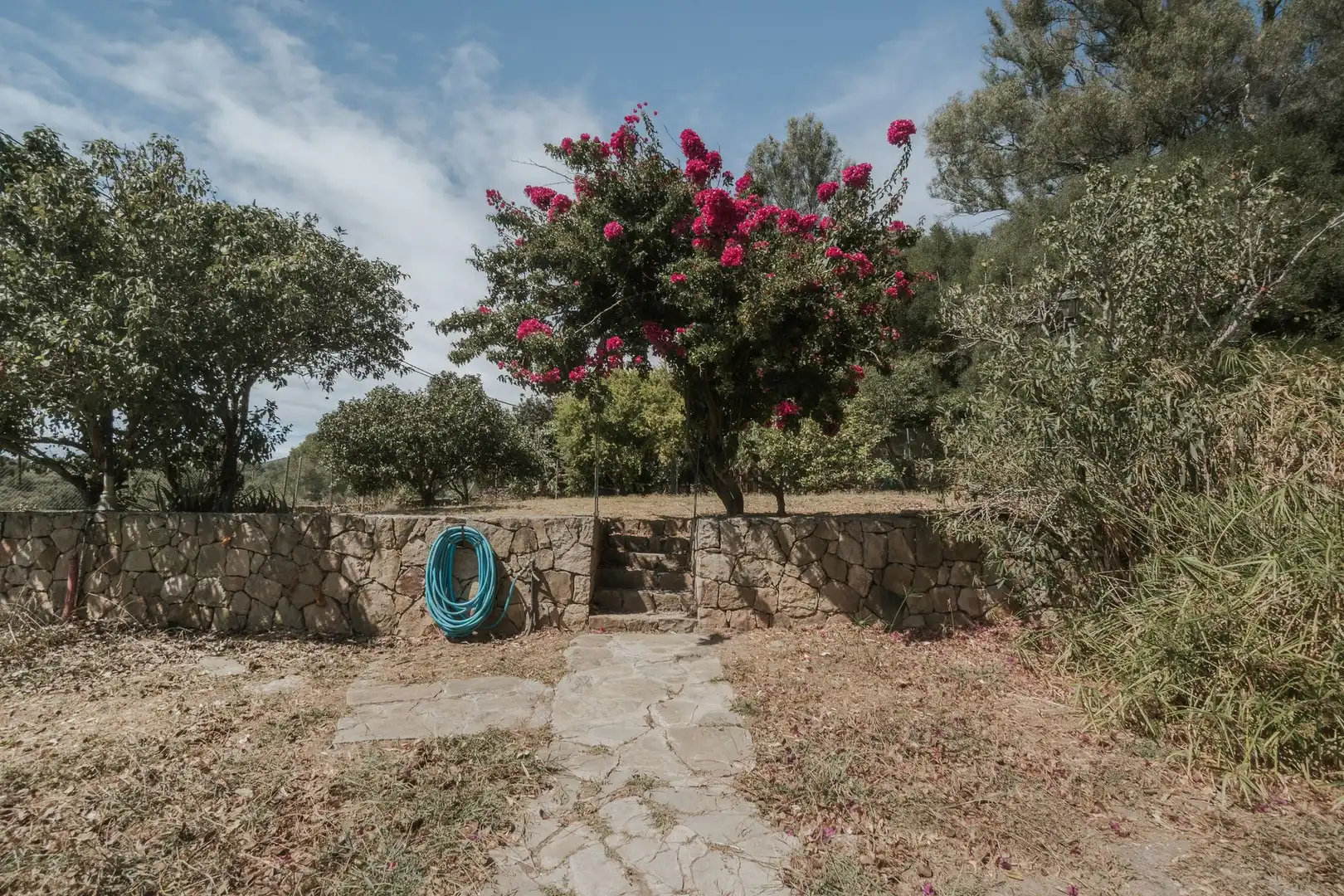 Terrenys i solars en venda a Tarifa ciudad, imagen 19