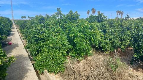 Foto 5 de Terreno en venta en Camino Xeraco a Xeresa, Xeraco, Valencia