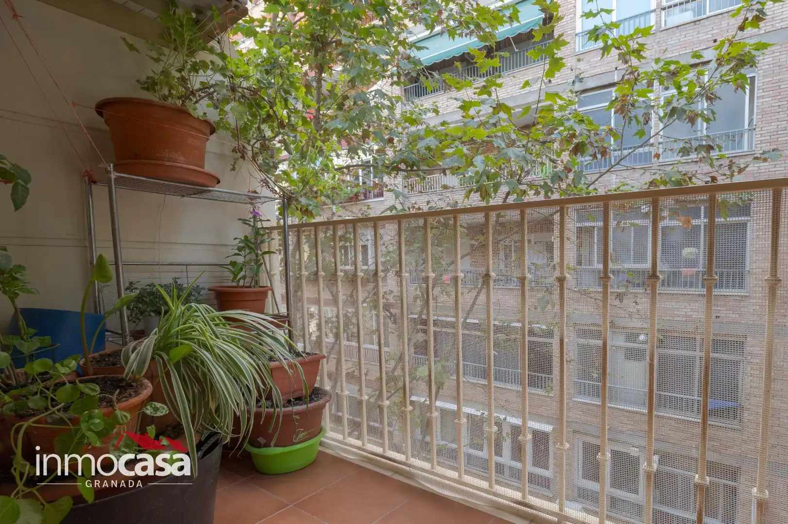 Terraza de Piso en venta en Zaidín