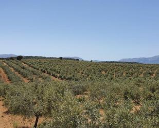 Terreny en venda en Alhama de Granada