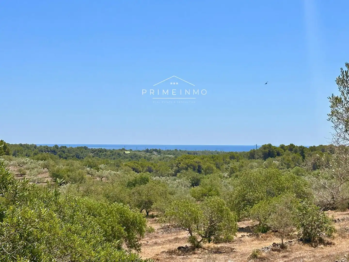 Finca rústica en venta en L'Ametlla de Mar 