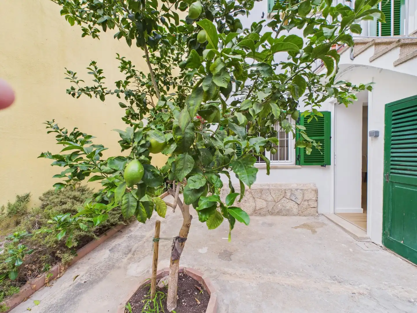 Terrasse von Erdgeschoss zur Miete in  Palma de Mallorca mit Möbliert