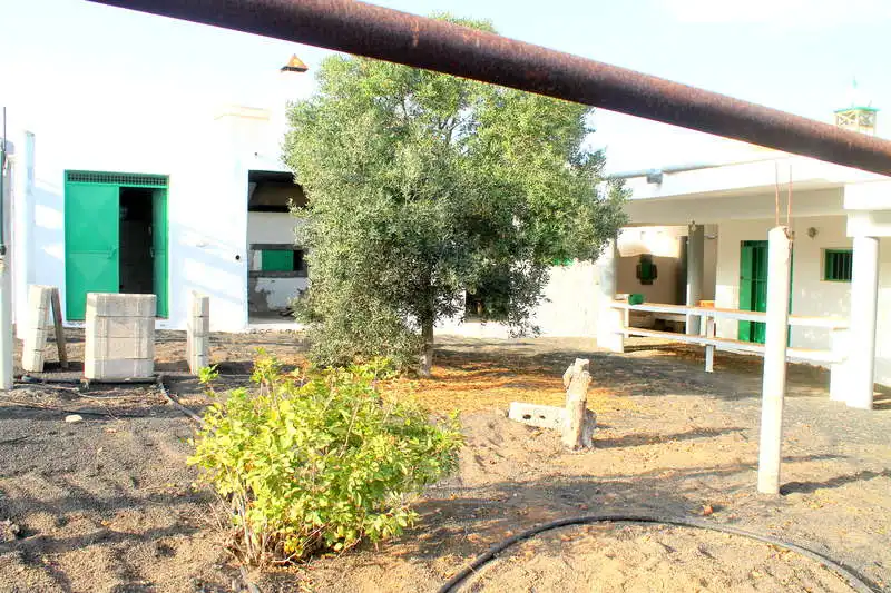 Jardín de Casa o chalet en venta en Haría