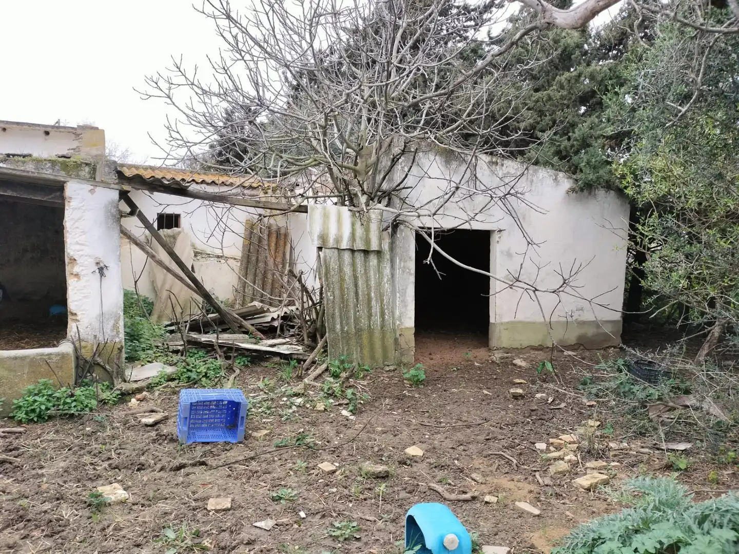 Terrenys i solars en venda a Pelagatos - Pago del Humo, imagen 13