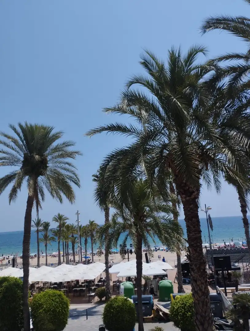 Estudi amb ascensor de lloguer a Platja de Vila Joiosa, imagen 6