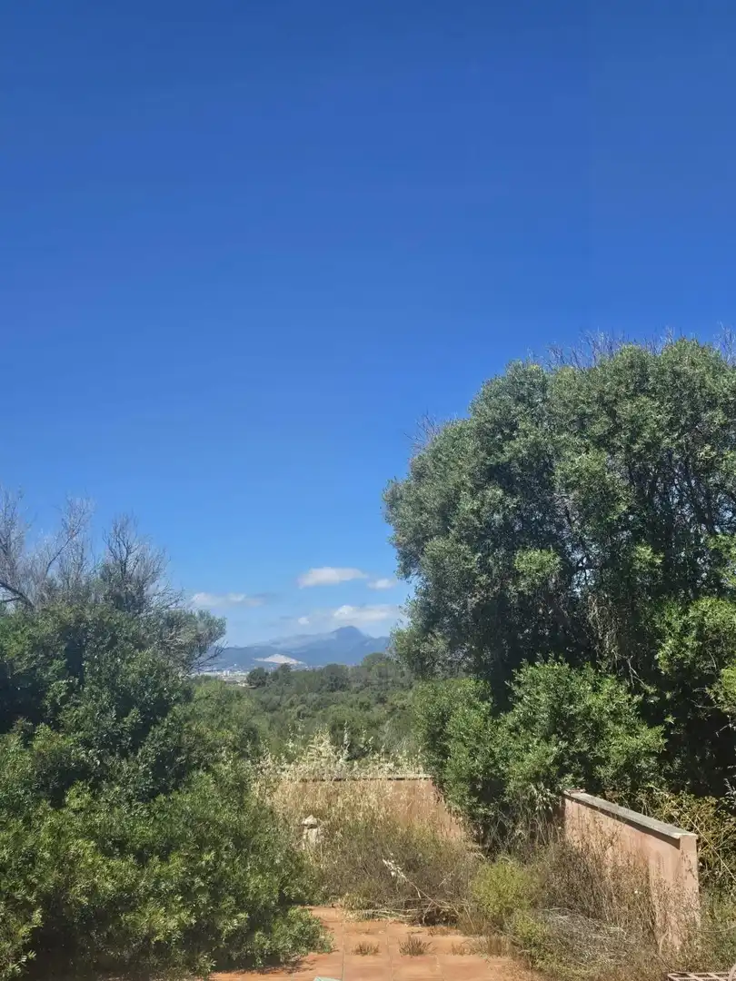 Finca rústica en venda en Marratxí amb Terrassa