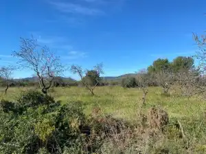 Terreno en venta en El Pont d'Armentera