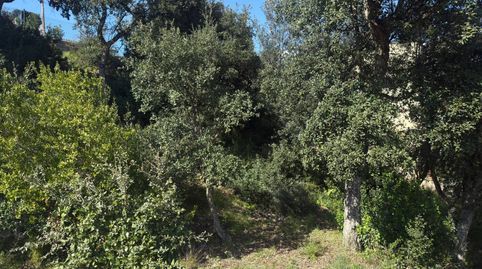 Foto 3 von Residential zum Verkauf in Calle Sant Damià, Santa Cristina - Sant Francesc, Blanes