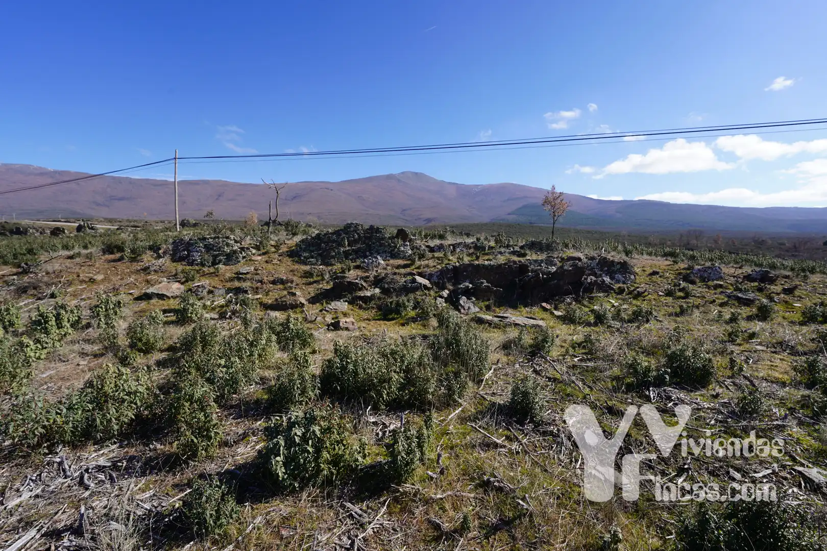 Terreno rústico en venta en Campillo de Ranas, imagen 17