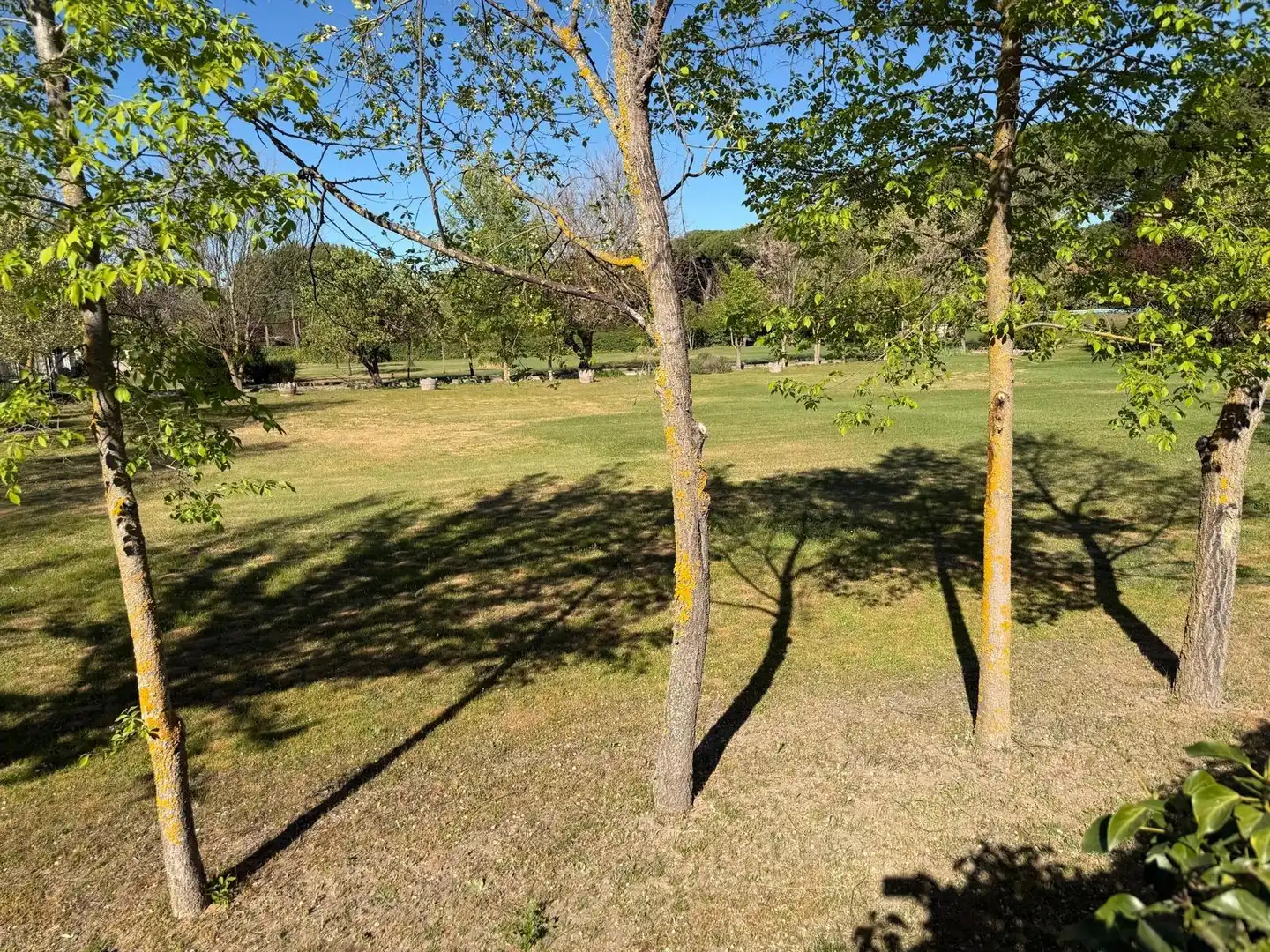 Casa o chalet en venta en Villabáñez