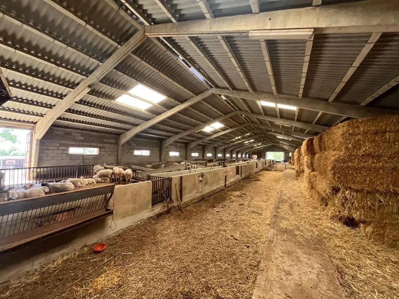 Nave industrial en venta en Villadiego