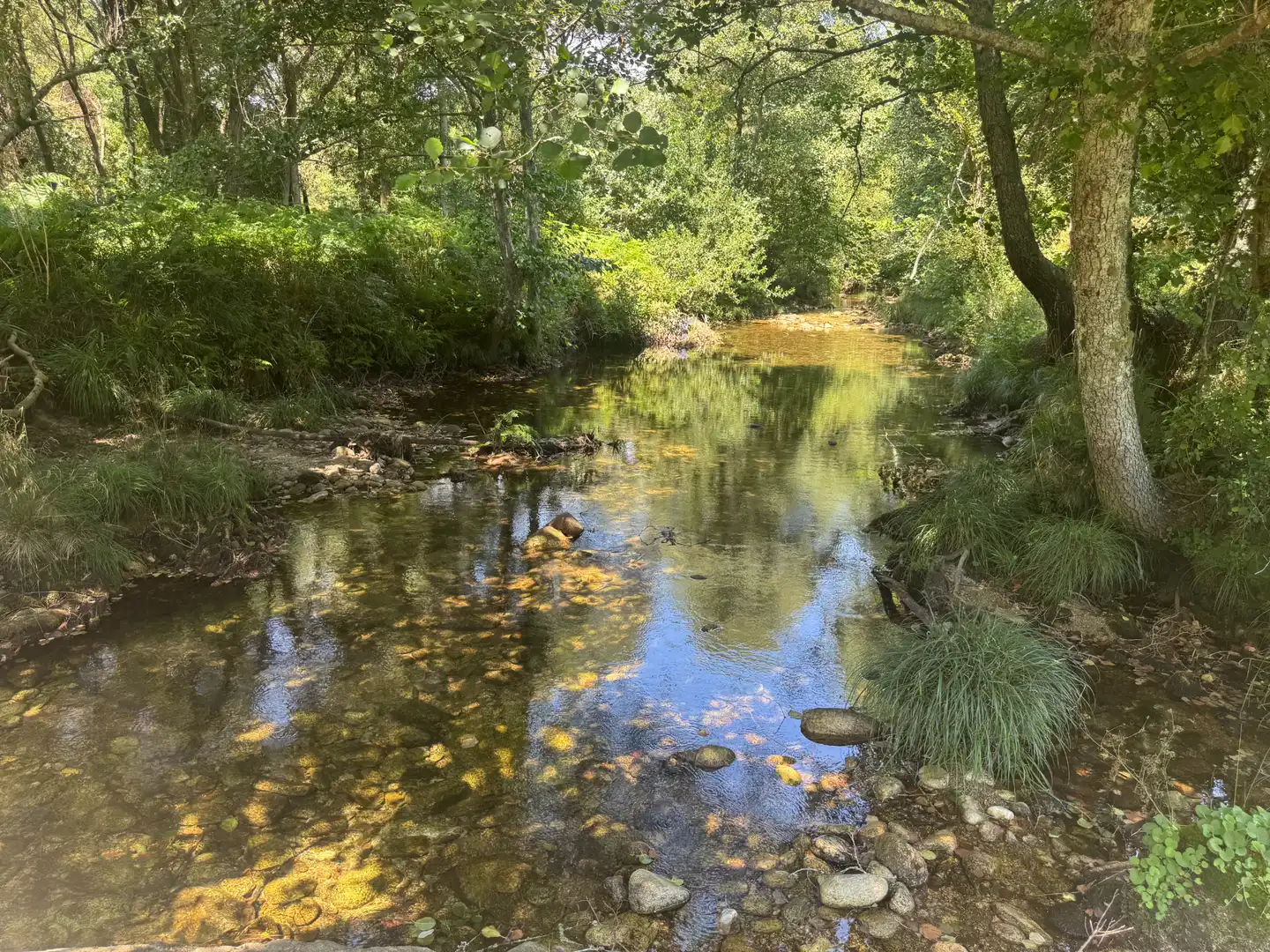 Vista exterior de Finca rústica en venta en Muros con Jardín privado y Terraza