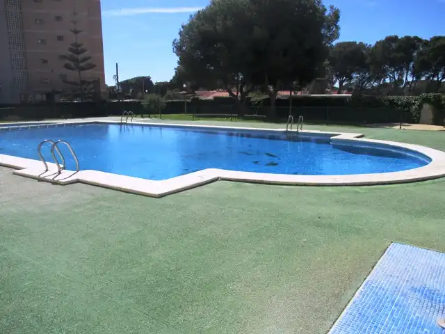 Swimming pool of Apartments for rent in El Campello  with Heating, Terrace and Furnished