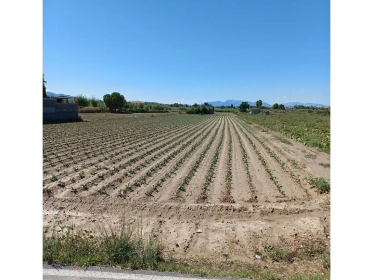Terreny rústic en venda a Ribera de Molina - Torrealta, imagen 10